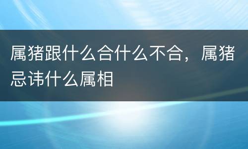 属猪跟什么合什么不合，属猪忌讳什么属相