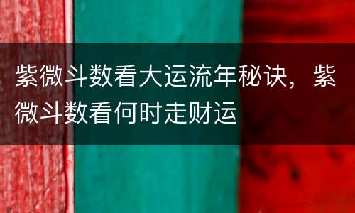 紫微斗数看大运流年秘诀，紫微斗数看何时走财运