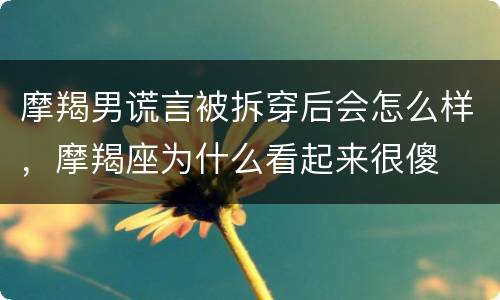 摩羯男谎言被拆穿后会怎么样，摩羯座为什么看起来很傻