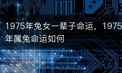 1975年兔女一辈子命运，1975年属兔命运如何