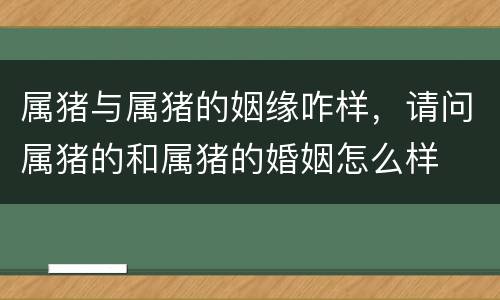 属猪与属猪的姻缘咋样，请问属猪的和属猪的婚姻怎么样