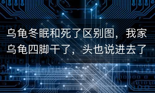 乌龟冬眠和死了区别图，我家乌龟四脚干了，头也说进去了，眼睛也凹陷了，但