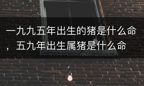 一九九五年出生的猪是什么命，五九年出生属猪是什么命