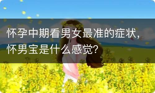 怀孕中期看男女最准的症状，怀男宝是什么感觉？