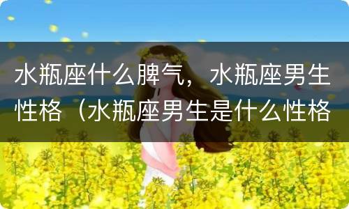 水瓶座什么脾气，水瓶座男生性格（水瓶座男生是什么性格脾气）