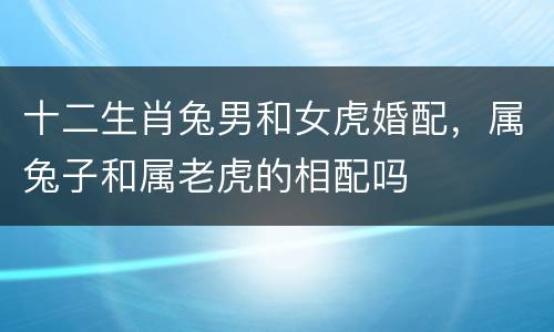 十二生肖兔男和女虎婚配，属兔子和属老虎的相配吗