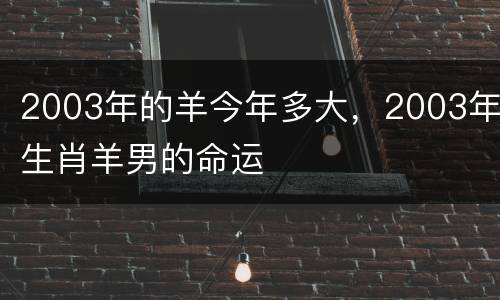 2003年的羊今年多大，2003年生肖羊男的命运