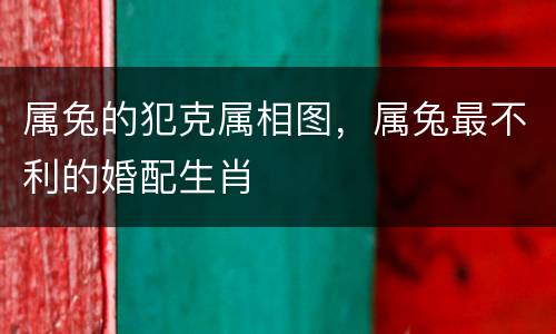 属兔的犯克属相图，属兔最不利的婚配生肖