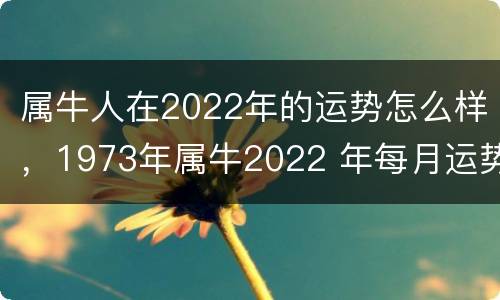 属牛人在2022年的运势怎么样，1973年属牛2022 年每月运势