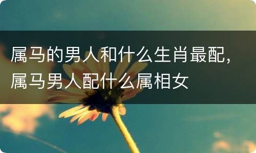 属马的男人和什么生肖最配，属马男人配什么属相女
