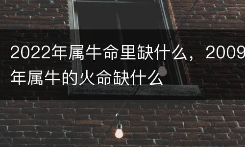 2022年属牛命里缺什么，2009年属牛的火命缺什么