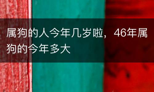 属狗的人今年几岁啦，46年属狗的今年多大