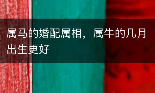 属马的婚配属相，属牛的几月出生更好