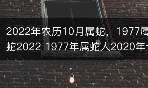 2022年农历10月属蛇，1977属蛇2022 1977年属蛇人2020年十月运势