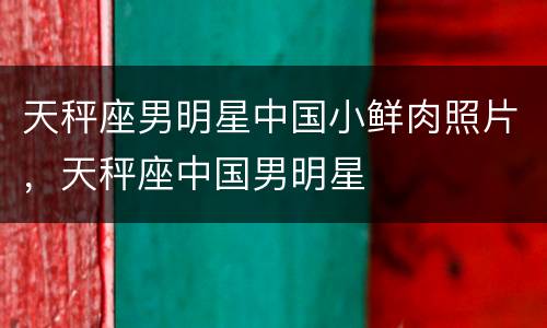 天秤座男明星中国小鲜肉照片，天秤座中国男明星