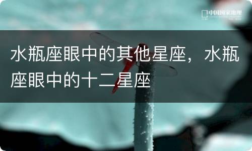 水瓶座眼中的其他星座，水瓶座眼中的十二星座