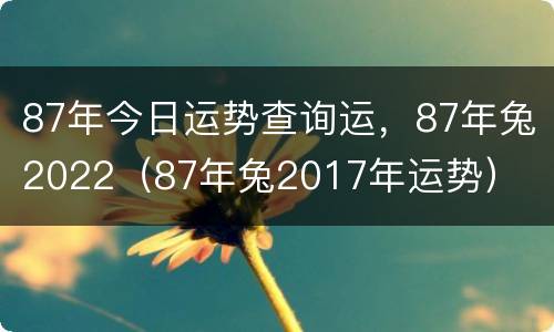 87年今日运势查询运，87年兔2022（87年兔2017年运势）