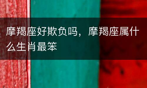 摩羯座好欺负吗，摩羯座属什么生肖最笨