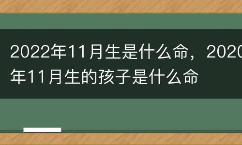 2022年11月生是什么命，2020年11月生的孩子是什么命