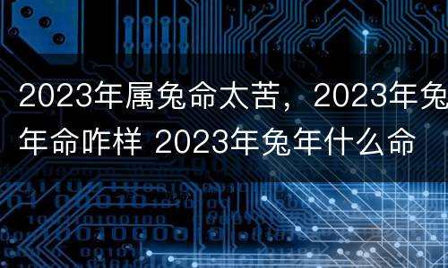2023年属兔命太苦，2023年兔年命咋样 2023年兔年什么命