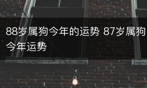 88岁属狗今年的运势 87岁属狗今年运势