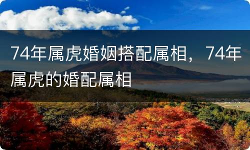 74年属虎婚姻搭配属相，74年属虎的婚配属相