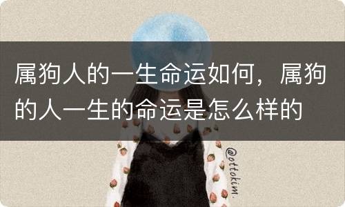 属狗人的一生命运如何，属狗的人一生的命运是怎么样的