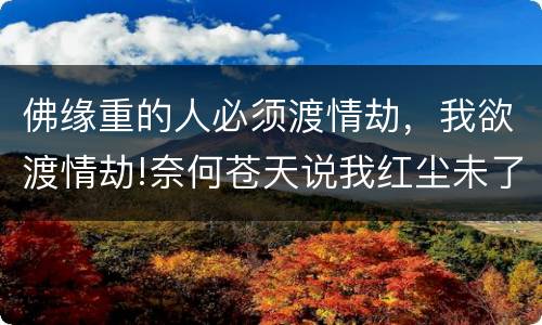 佛缘重的人必须渡情劫，我欲渡情劫!奈何苍天说我红尘未了应怎么对？