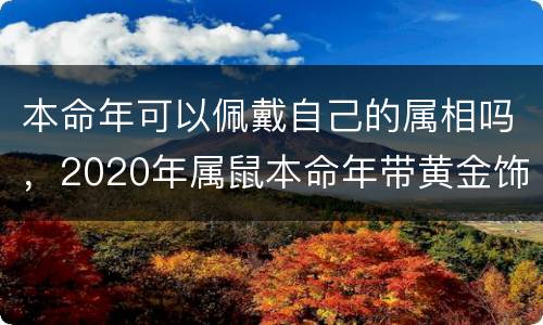 本命年可以佩戴自己的属相吗，2020年属鼠本命年带黄金饰物好