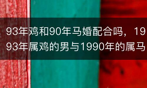 93年鸡和90年马婚配合吗，1993年属鸡的男与1990年的属马的女配