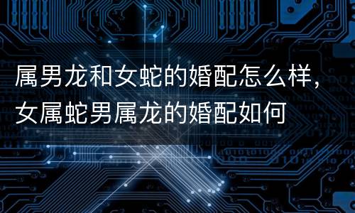 属男龙和女蛇的婚配怎么样，女属蛇男属龙的婚配如何