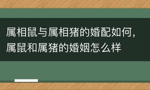 属相鼠与属相猪的婚配如何，属鼠和属猪的婚姻怎么样