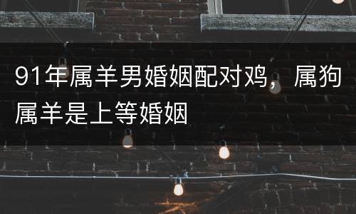 91年属羊男婚姻配对鸡，属狗属羊是上等婚姻