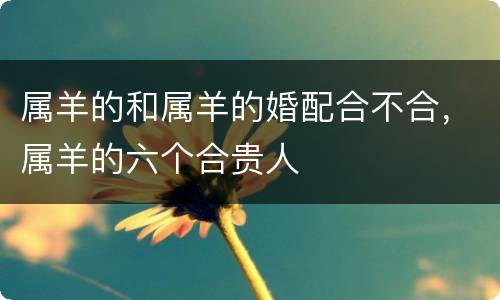 属羊的和属羊的婚配合不合，属羊的六个合贵人