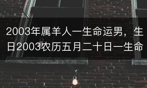 2003年属羊人一生命运男，生日2003农历五月二十日一生命运