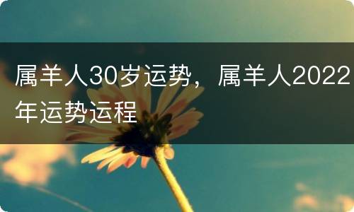 属羊人30岁运势，属羊人2022年运势运程