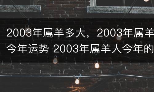2003年属羊多大，2003年属羊今年运势 2003年属羊人今年的命运