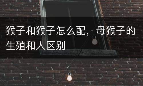 猴子和猴子怎么配，母猴子的生殖和人区别