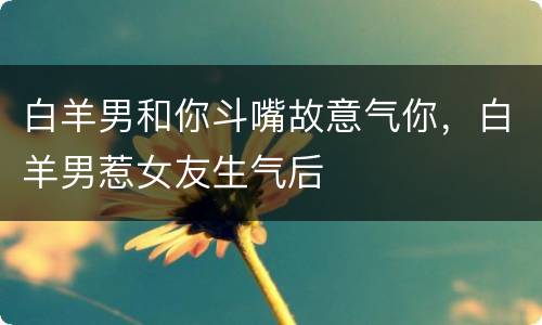 白羊男和你斗嘴故意气你，白羊男惹女友生气后