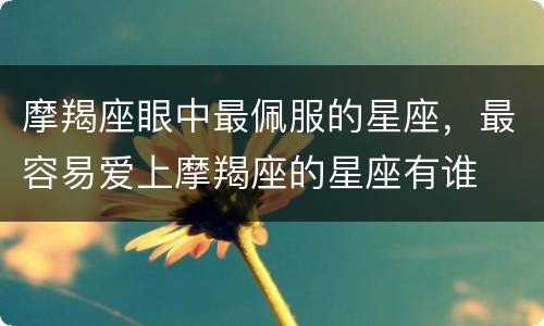 摩羯座眼中最佩服的星座，最容易爱上摩羯座的星座有谁