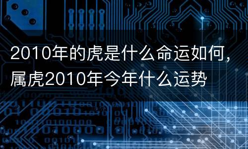 2010年的虎是什么命运如何，属虎2010年今年什么运势