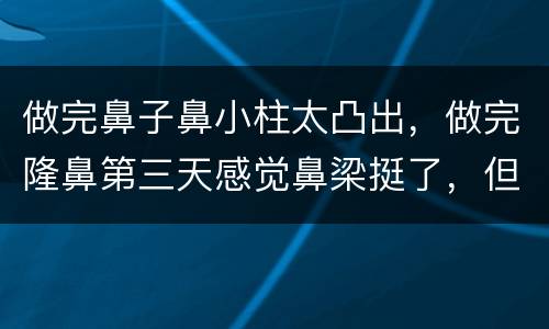 做完鼻子鼻小柱太凸出，做完隆鼻第三天感觉鼻梁挺了，但是鼻尖和鼻小柱没啥
