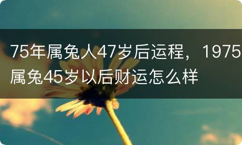 75年属兔人47岁后运程，1975属兔45岁以后财运怎么样
