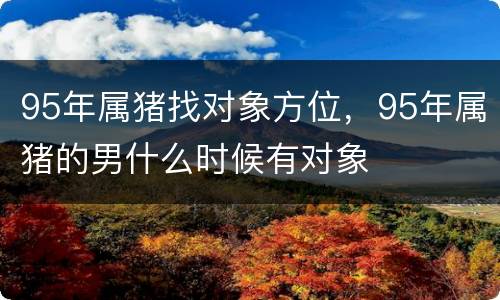95年属猪找对象方位，95年属猪的男什么时候有对象