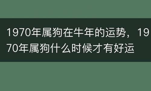 1970年属狗在牛年的运势，1970年属狗什么时候才有好运