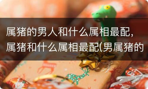 属猪的男人和什么属相最配，属猪和什么属相最配(男属猪的和什么