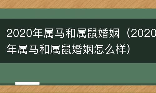 2020年属马和属鼠婚姻（2020年属马和属鼠婚姻怎么样）