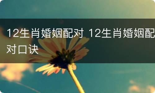 12生肖婚姻配对 12生肖婚姻配对口诀