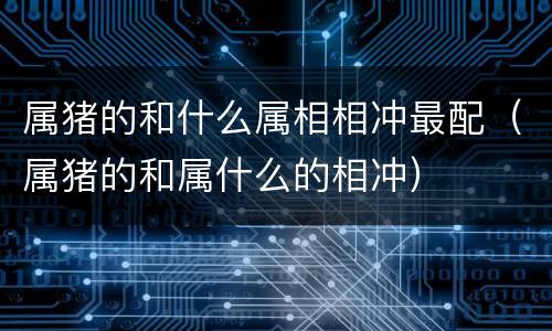 属猪的和什么属相相冲最配（属猪的和属什么的相冲）