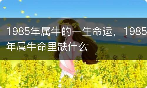 1985年属牛的一生命运，1985年属牛命里缺什么
